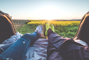 2017-03-25 14_35_47-2 People Sitting With View of Yellow Flowers during Daytime · Free Stock Photo