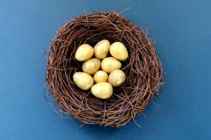 2019-01-27 15_52_57-250+ Engaging Nest Egg Photos · Pexels · Free Stock Photos