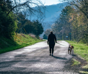 2019-03-13 22_03_15-Morning Walk photo by Fancycrave (@fancycrave) on Unsplash