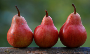 2019-05-26 20_59_32-Pears _ HD photo by Shumilov Ludmila (@lsfineartphotography) on Unsplash