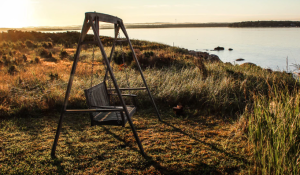 2019-06-22 19_28_58-Swing by the lake at sunset _ HD photo by Jon Eckert (@joneckert) on Unsplash