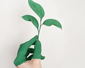 2019-11-15 21_20_35-Person's Left Hand Holding Green Leaf Plant · Free Stock Photo