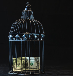2019-12-23 10_31_43-Black Steel Pet Cage With One Dollar · Free Stock Photo