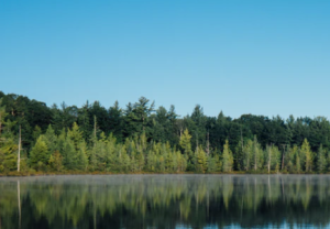 2020-03-14 17_24_08-brown wooden dock near calm body of water surrounded by trees photo – Free Pier