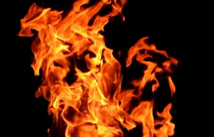 2020-03-26 21_05_22-Fire Wallpaper · Free Stock Photo