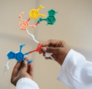 2020-06-04 22_28_52-Crop chemist holding in hands molecule model · Free Stock Photo