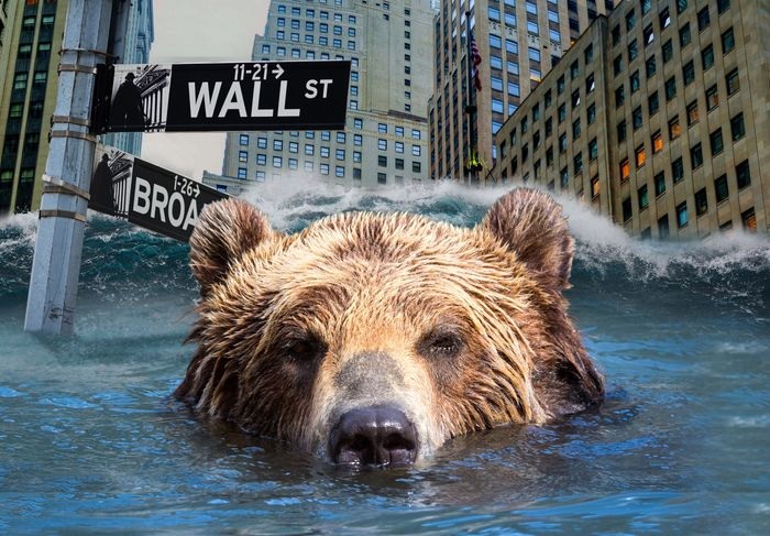 bear market